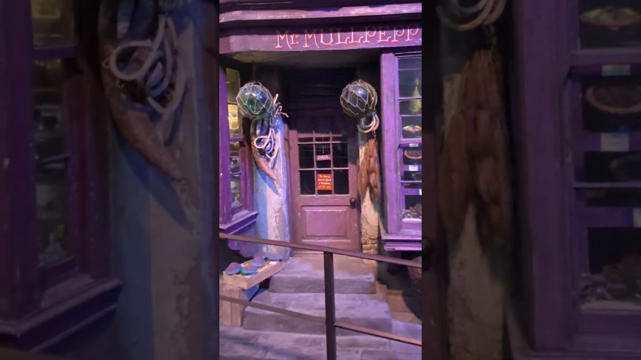 Leavesden Tour #55 #music #harrypotter #tourism #hogwarts #video #fypviral #fantasy #diagonalley