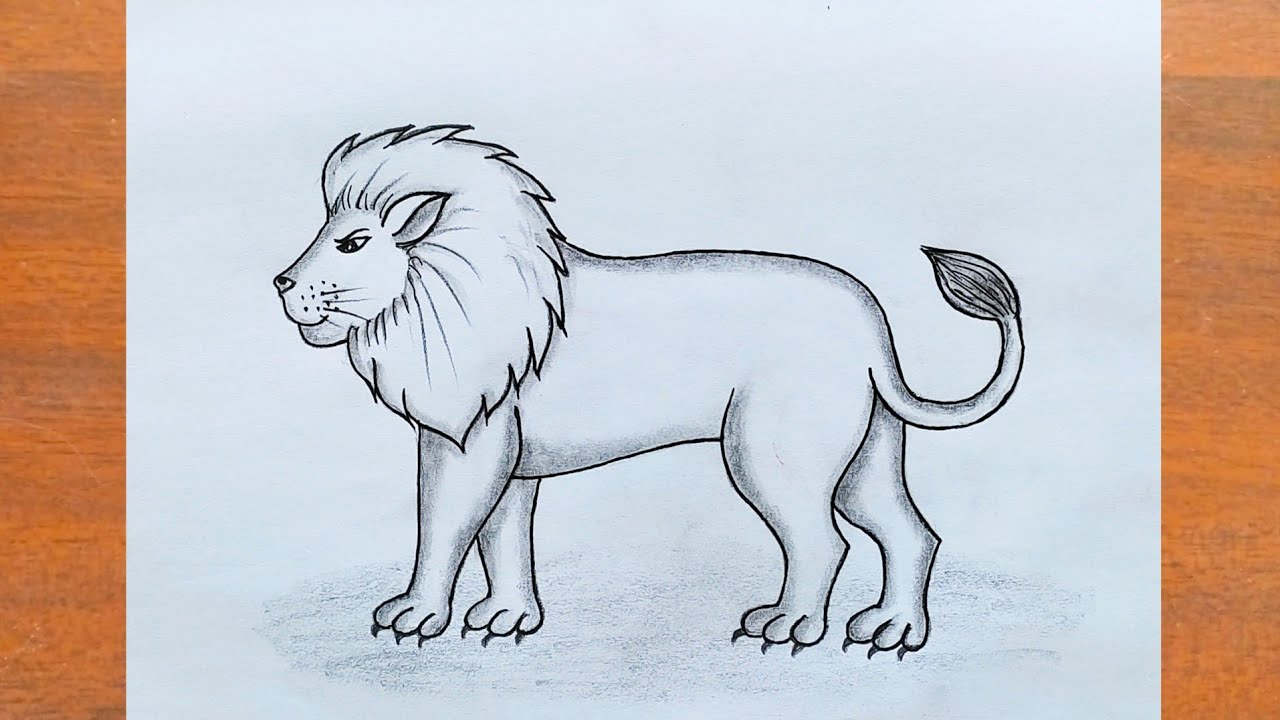 शेर का चित्र बनाना सीखें / How to Draw a Lion Easy Step by Step / Lion Drawing Easy / Animal Drawing