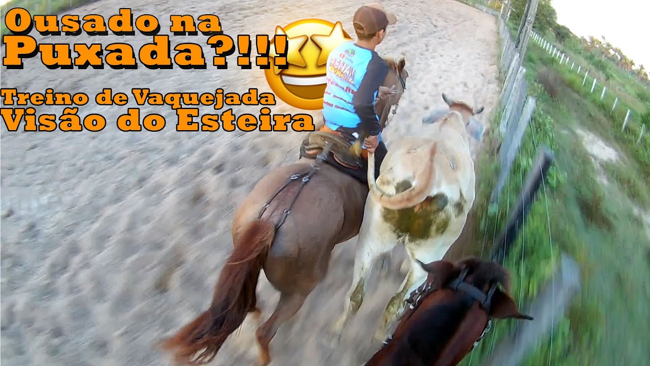 Ousado na Puxada?!!! Treino de Vaquejada - Vis&atilde;o do Esteira