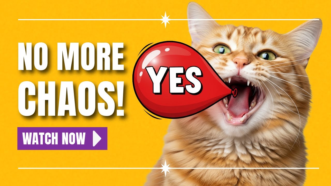 Why Your Cat Doesn’t Understand “No” | Positive Training Tips for Cat Owners