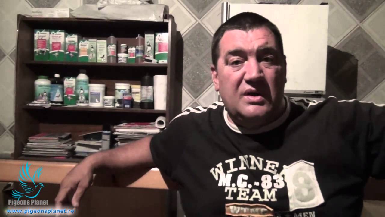 Maestrul Marian Dumitrache - Despre metoda de zbor (vaduvie)