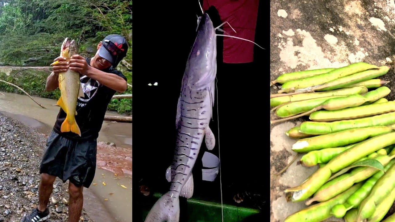 PESCA Y NATURALEZA SELVA BOLIVIANA 🇧🇴