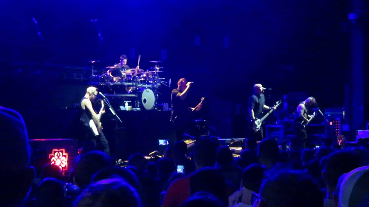 BB Angels Fall