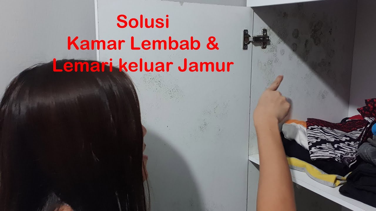 Solusi Kamar Lembab Dan Berjamur Dengan Notale Smart Dehumidifier Seco 12L TERBAIK