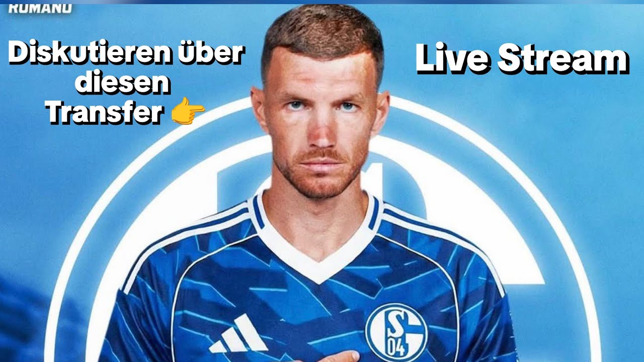 E. Dzeko wechselt nach Schalke, was haltet ihr davon?