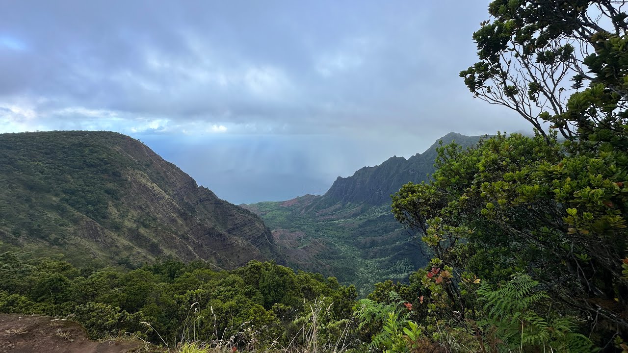 Pihea Vista trail, Kaluapuhi trail July 11, 7 mi, Kauai Hawaii