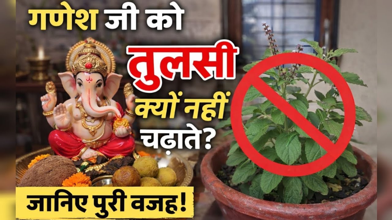 भगवान गणेश जी को तुलसी क्यों नहीं चढ़ाते |जानिए इसकी कथा   🙏@raseshwari_world223 