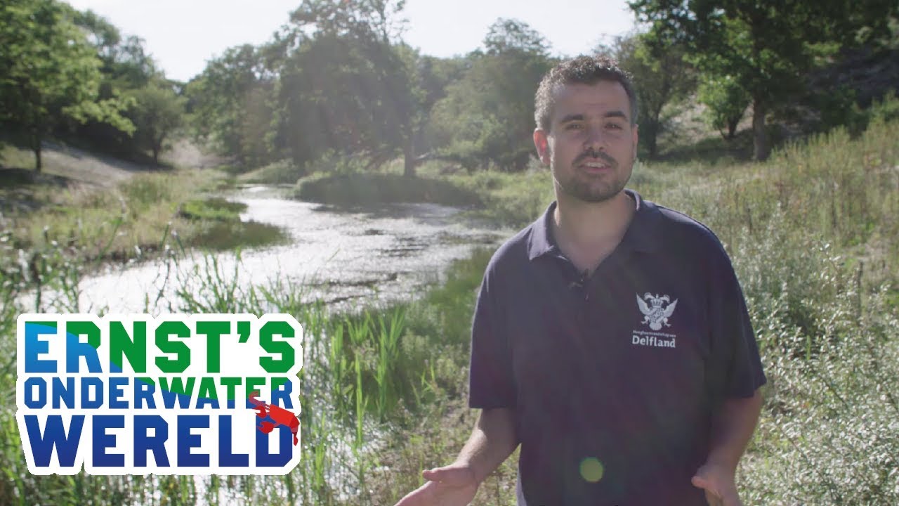 Het verborgen wereldje van DUINPOELEN #19 Ernst's OnderWaterWereld