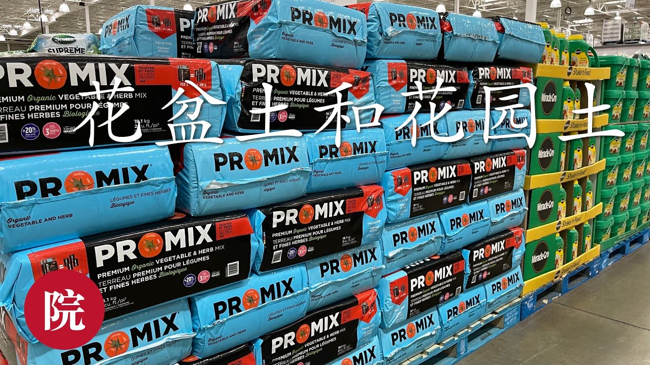 【彬彬有院】种•583常用花盆土以及花园土简介//如何选购花园土，如何选购花盆土