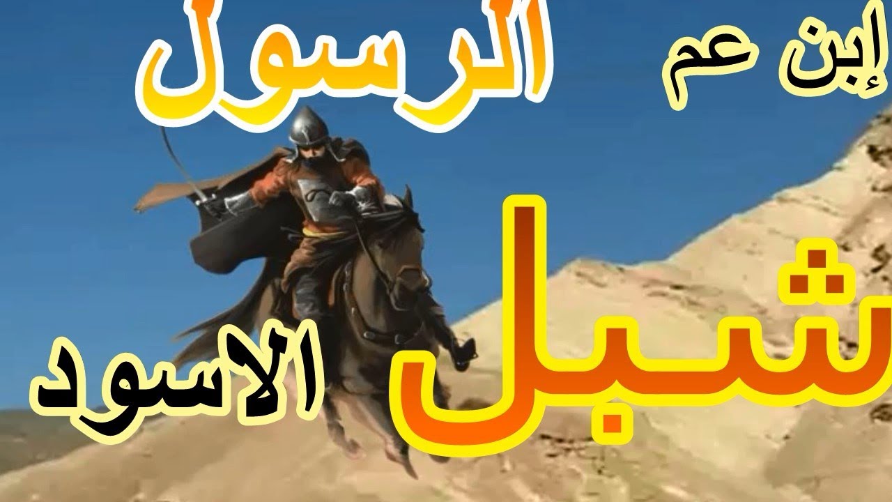مولد سيدى شبل الاسود ايه الحكايتة ؟؟؟؟