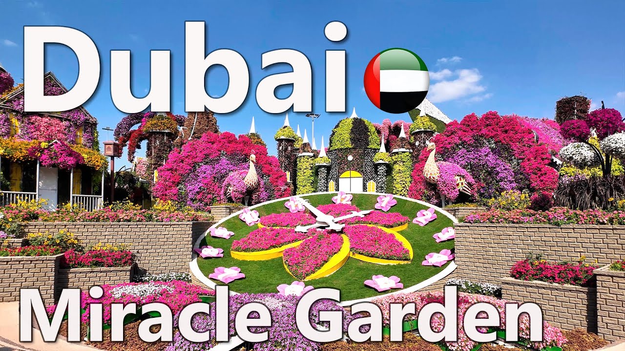Miracle Garden Dubai 2025 | The Best Place to Visit in Dubai