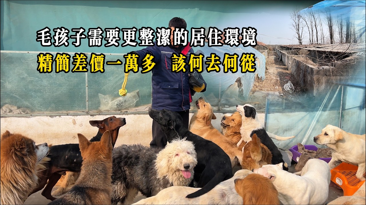 想像和現實總是難以契合！ 簡修精修差價一萬多元，我們該如何抉擇？