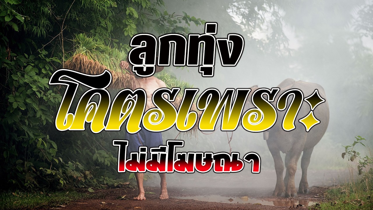 ลูกทุ่งรวมเพลงเพราะมาก : รวมเพลง ลูกทุ่งฮิตที่สุด ฟังต่อเนื่อง คัดมาพิเศษ #เพลงลูกทุ่งมาแรง