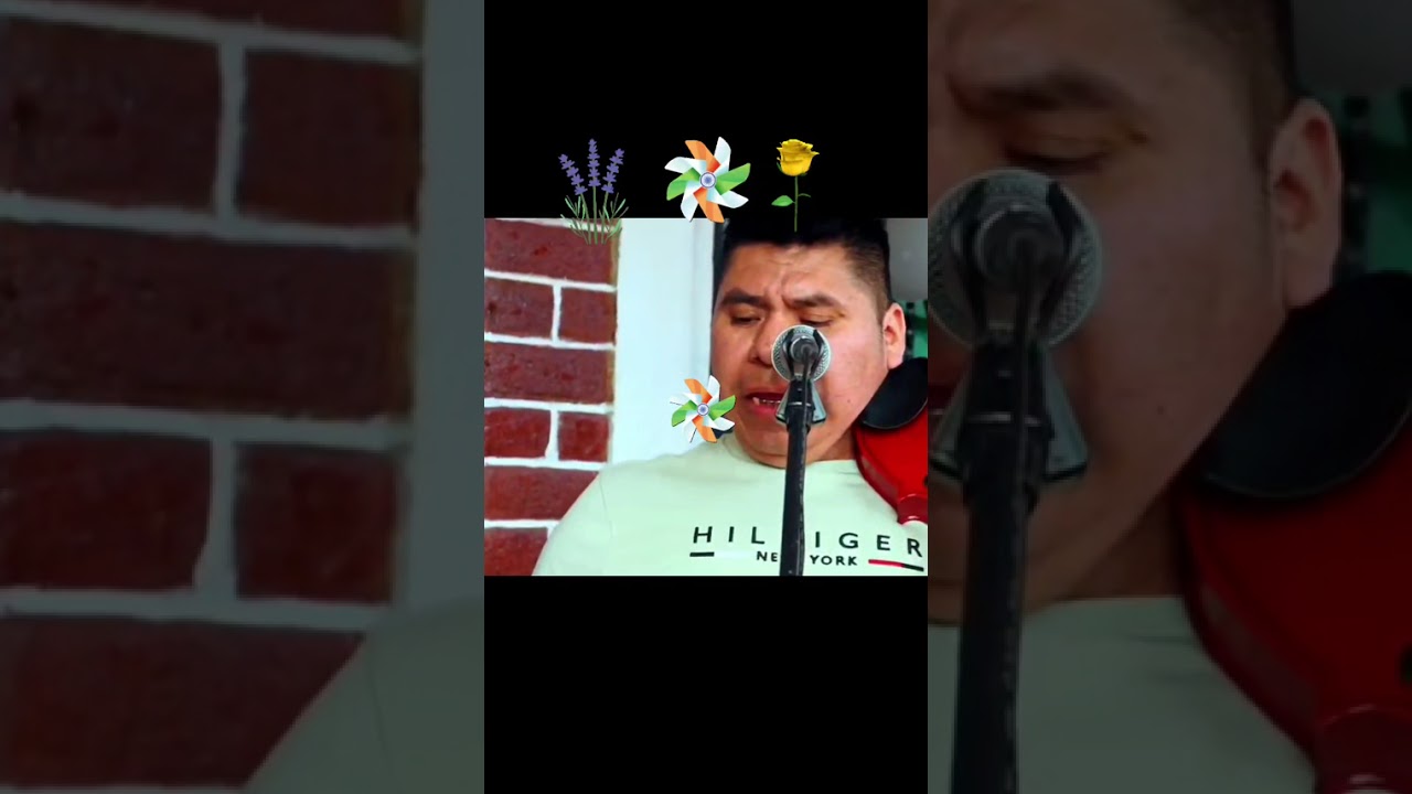 19 de febrero de 2026