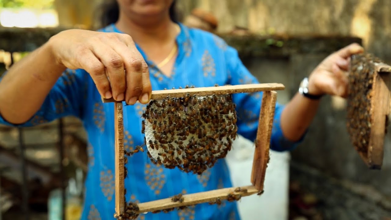 സെറ്റു പിരിക്കാൻ ഒരു നൂതന വിദ്യ