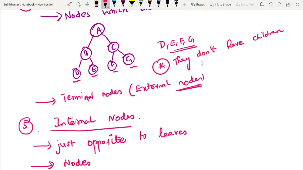 48  Tree Terminologies