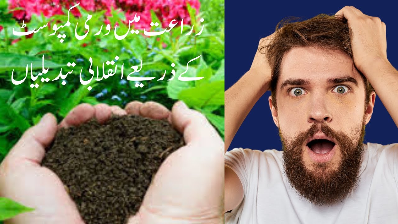 What are importance of vermicompost | Importance of vermicompost