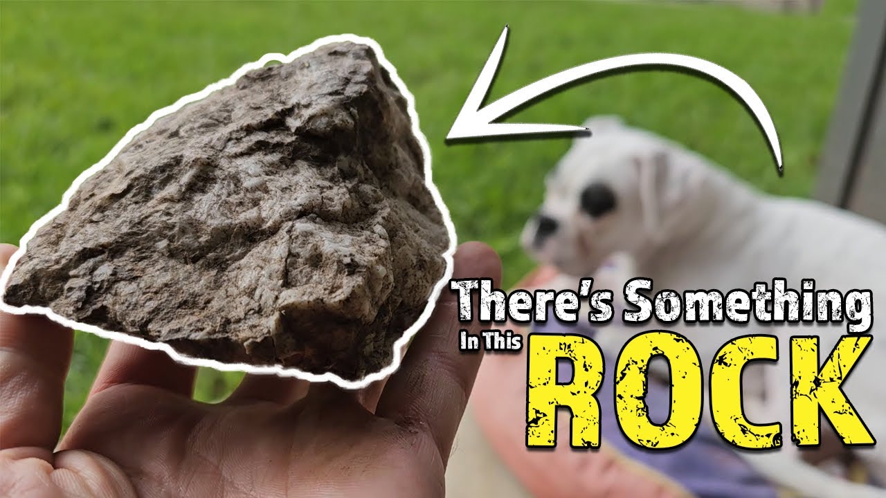 Stop Throwing Away These Rocks 🪨 | Metal Detecting Trick