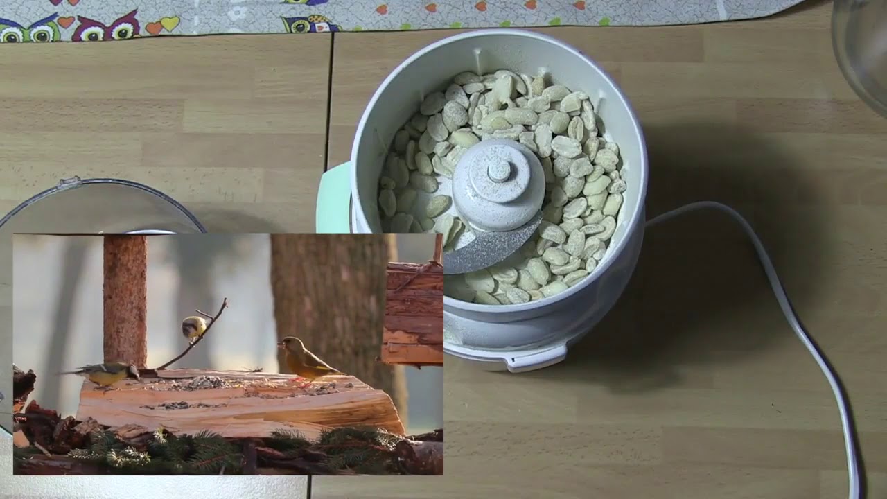 #birdgarden Come tritare gli alimenti per gli uccelli granivori