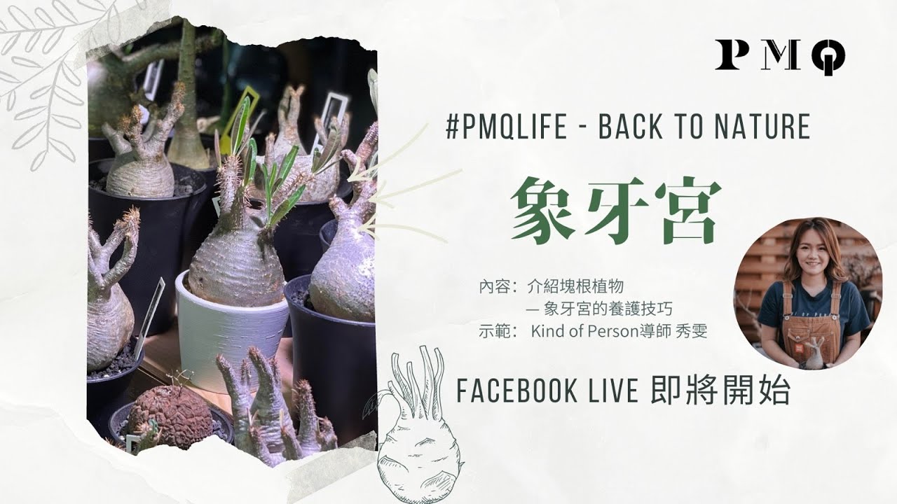 【PMQ Life x  有種人 Kind of Person  ：象牙宮Elephant's Foot Plant LIVE