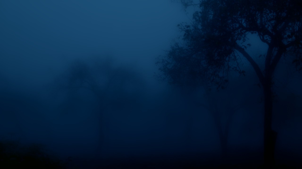 for those who feel lost in their own mind