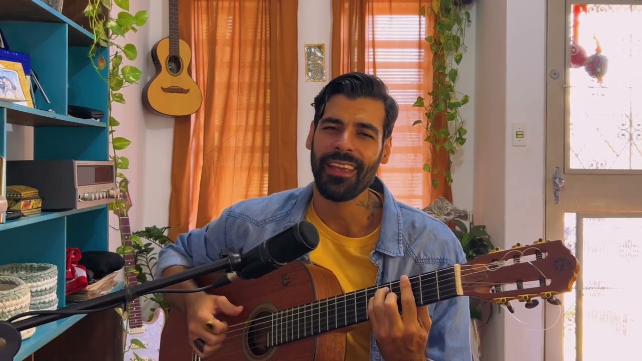 Meu Erro - Paralamas do Sucesso (cover) | Vinicius Zurlo| MPB, Voz e Violão. 