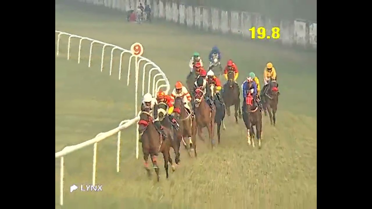 #Delhi Race No 6 The Soviet Star Plate/ win - BEEJAY/ Jockey - Mohd Talib/ #indiarace 2025