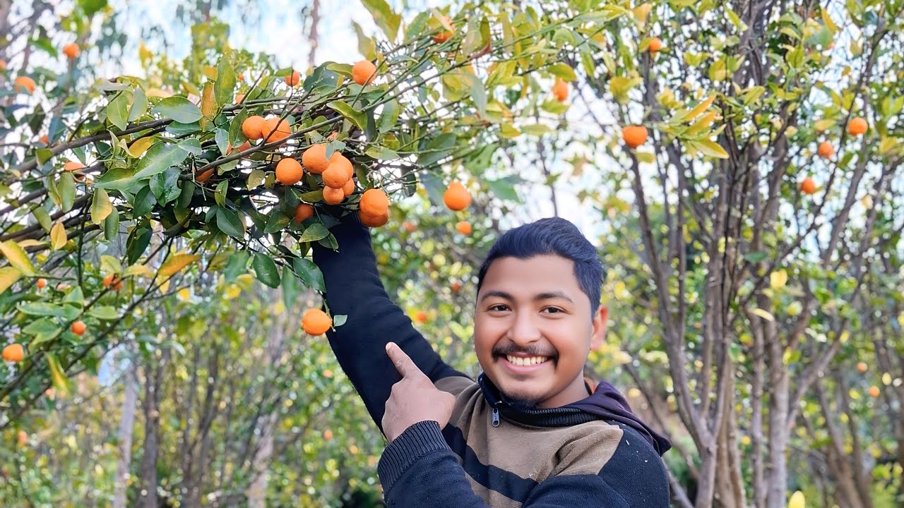ABL Farming च्यानलमा भिडियो हाल्दै लाइभमा जोडिएको छु guys|Anjubir vlog...