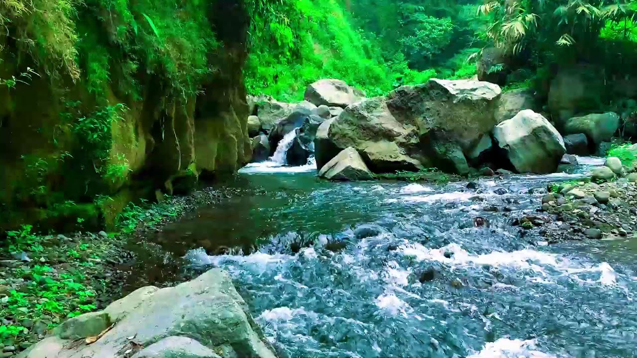 Restore your Soul by the River, Soft Sound and Forest River Sounds | sleep - relax - Stress Relief