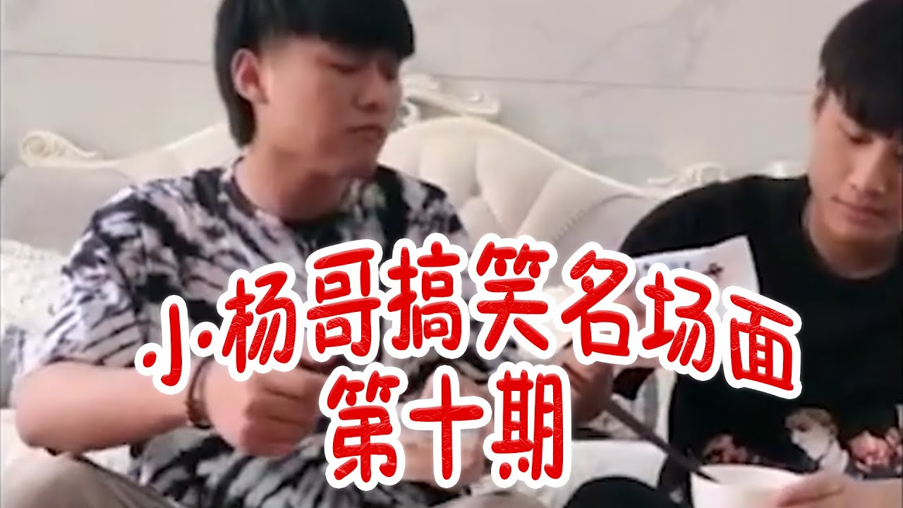 盘点小杨哥搞笑名场面第十期 #疯狂小杨哥 #疯狂小杨哥