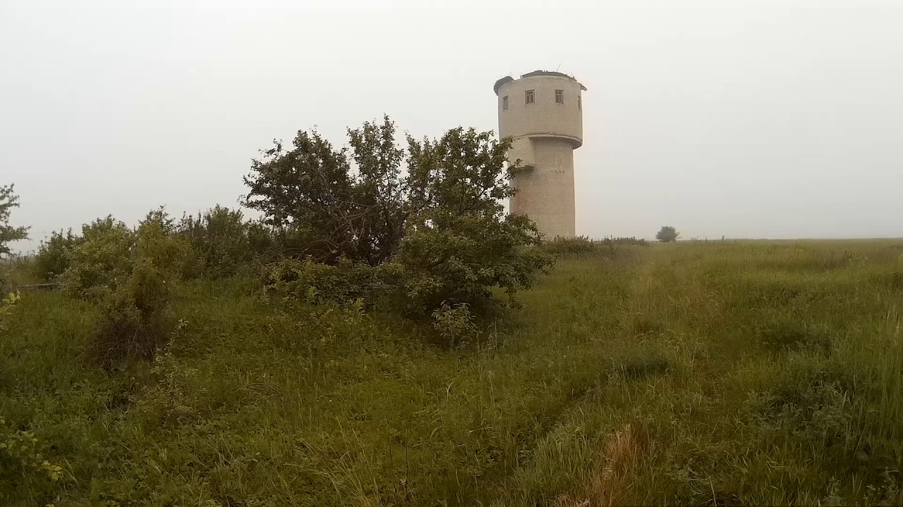 Овсянка садовая №150604 2 у башни 150620 SJ 1