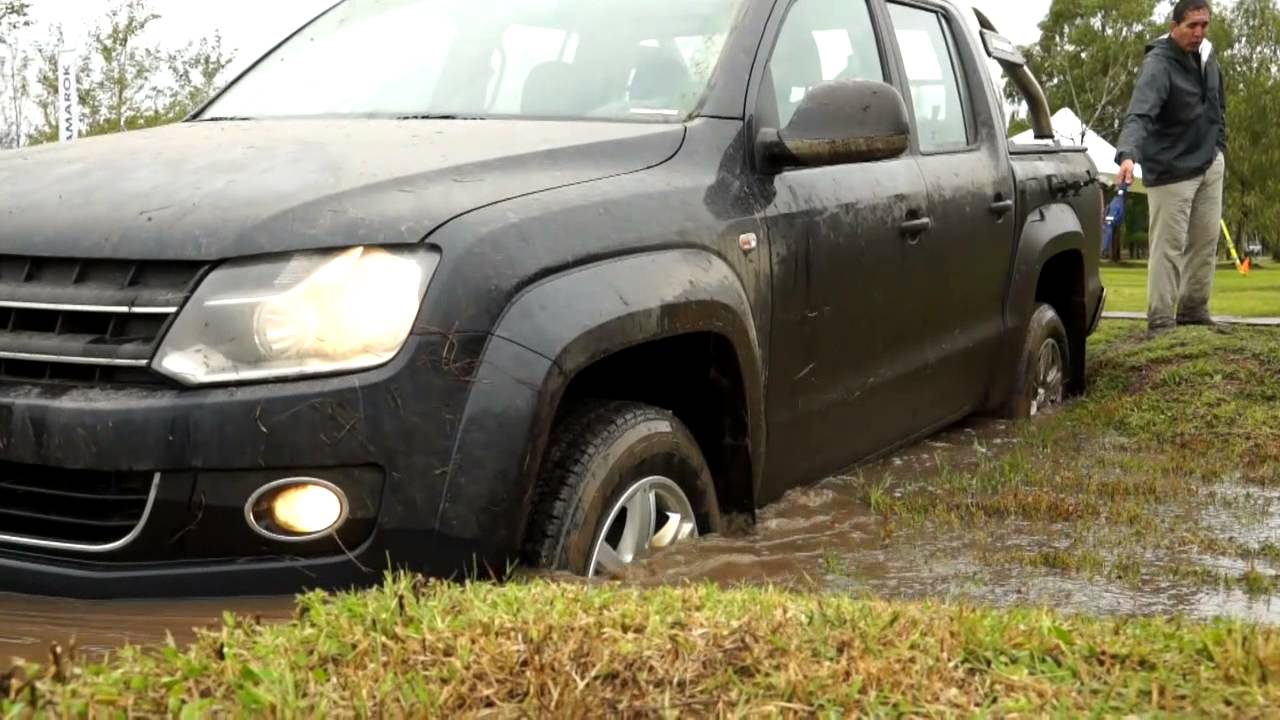 Programa Experto Amarok
