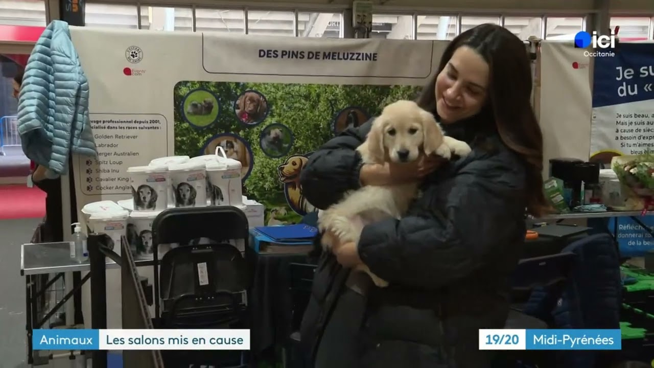 France 3 - 15/02/2026 - Les salons mis en cause