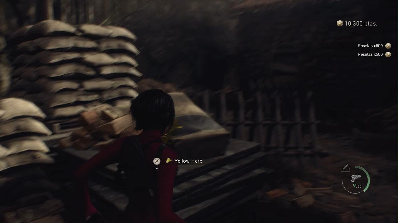 Resident Evil 4 SW2
