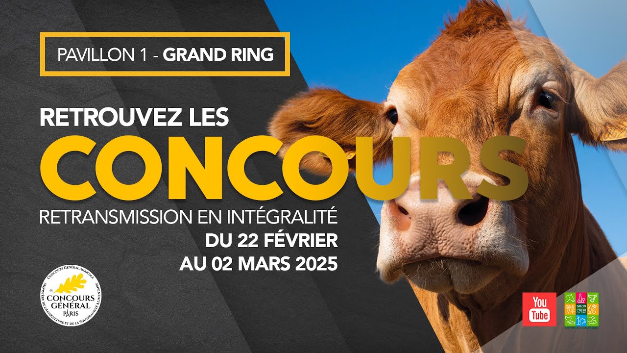 Concours Aubrac