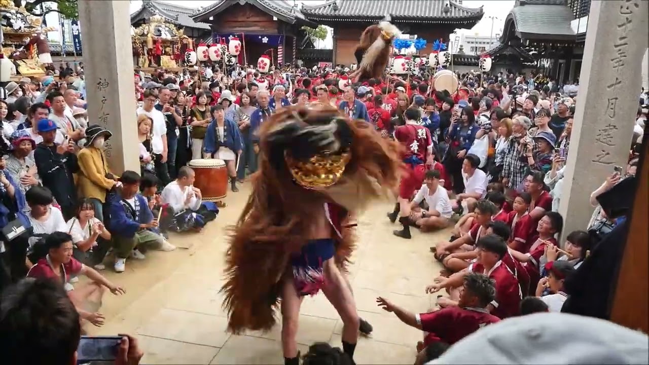 令和六年大塩天満宮秋祭り本宮　牛谷毛獅子奉納舞
