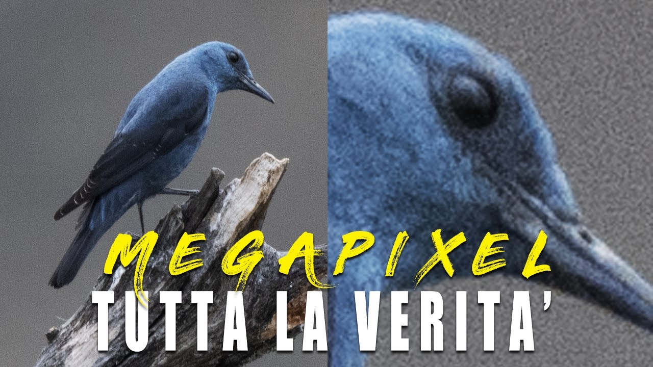 MEGAPIXEL - COSA SONO E A COSA SERVONO