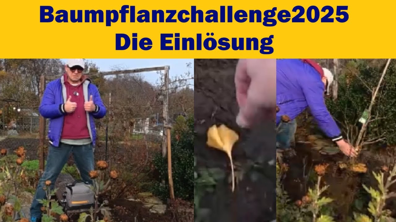 erstmalraus... Baumpflanzchallenge2025 die Einlösung der Nominierung