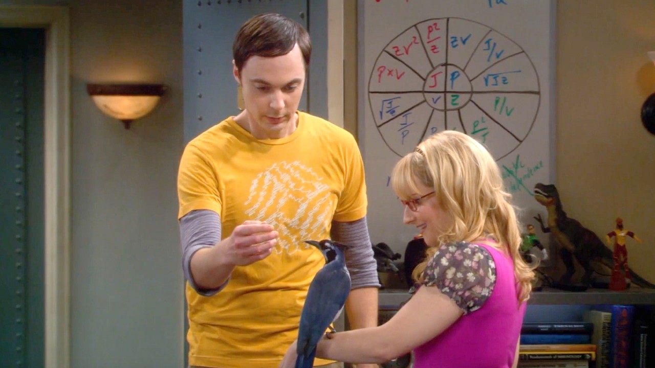 Season 5 Moments that Make You Laugh | The Big Bang Theory