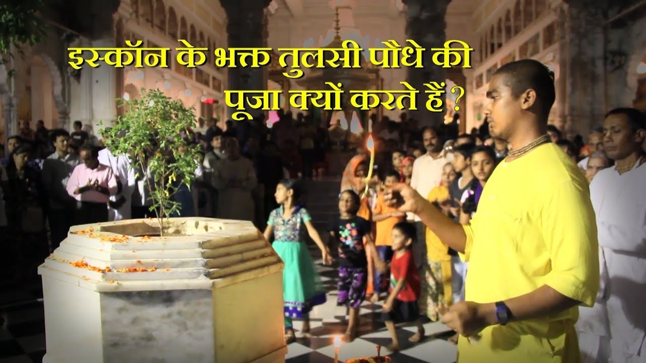 ISKCON के भक्त तुलसी की पूजा क्यों करते हैं? सार्वभौम दास