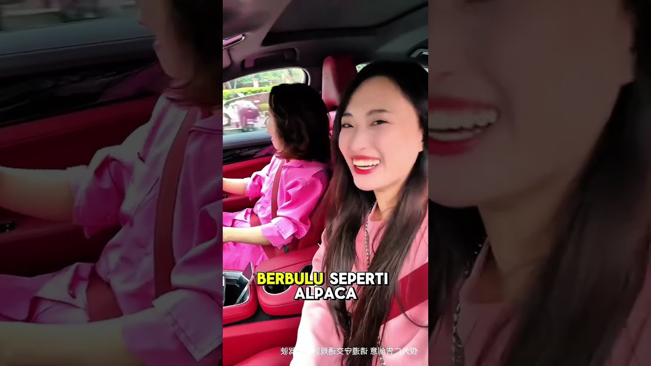 KOMPILASI DRAMA CHINA MERTUA IDAMAN YANG SERU