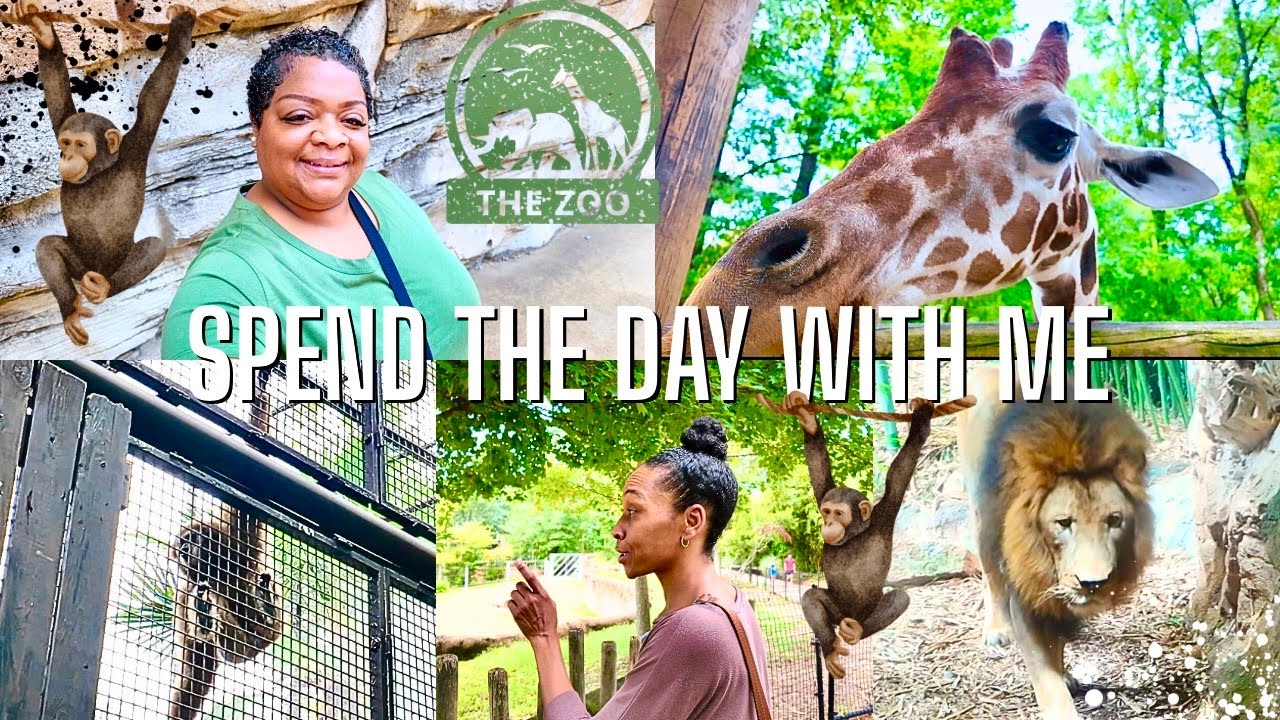 SPEND THE DAY WITH ME AT THE ZOO |  I GOT UP CLOSE TO THE GIRAFFES | WHAT IS THAT SOUND 🐒