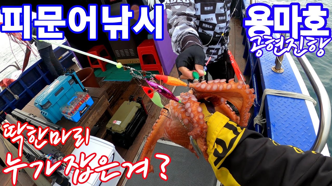 [피문어낚시] 