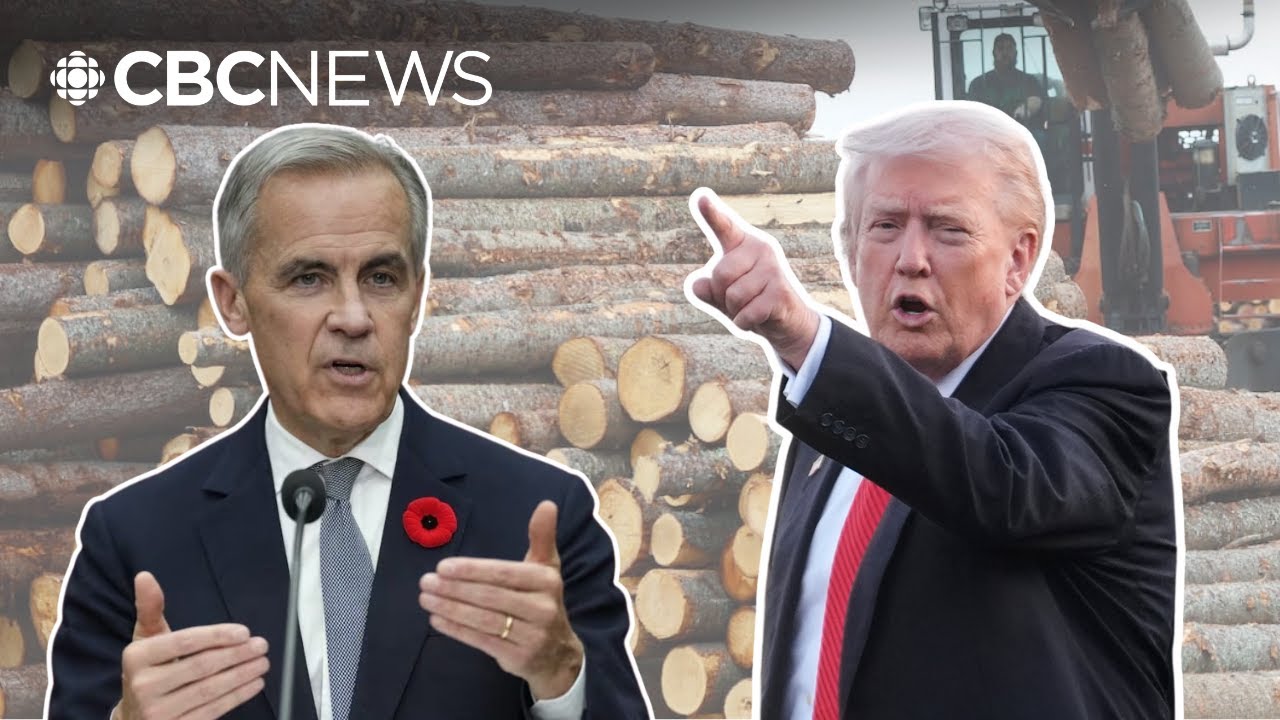 New Brunswick's softwood woes aren&rsquo;t just a Donald Trump problem