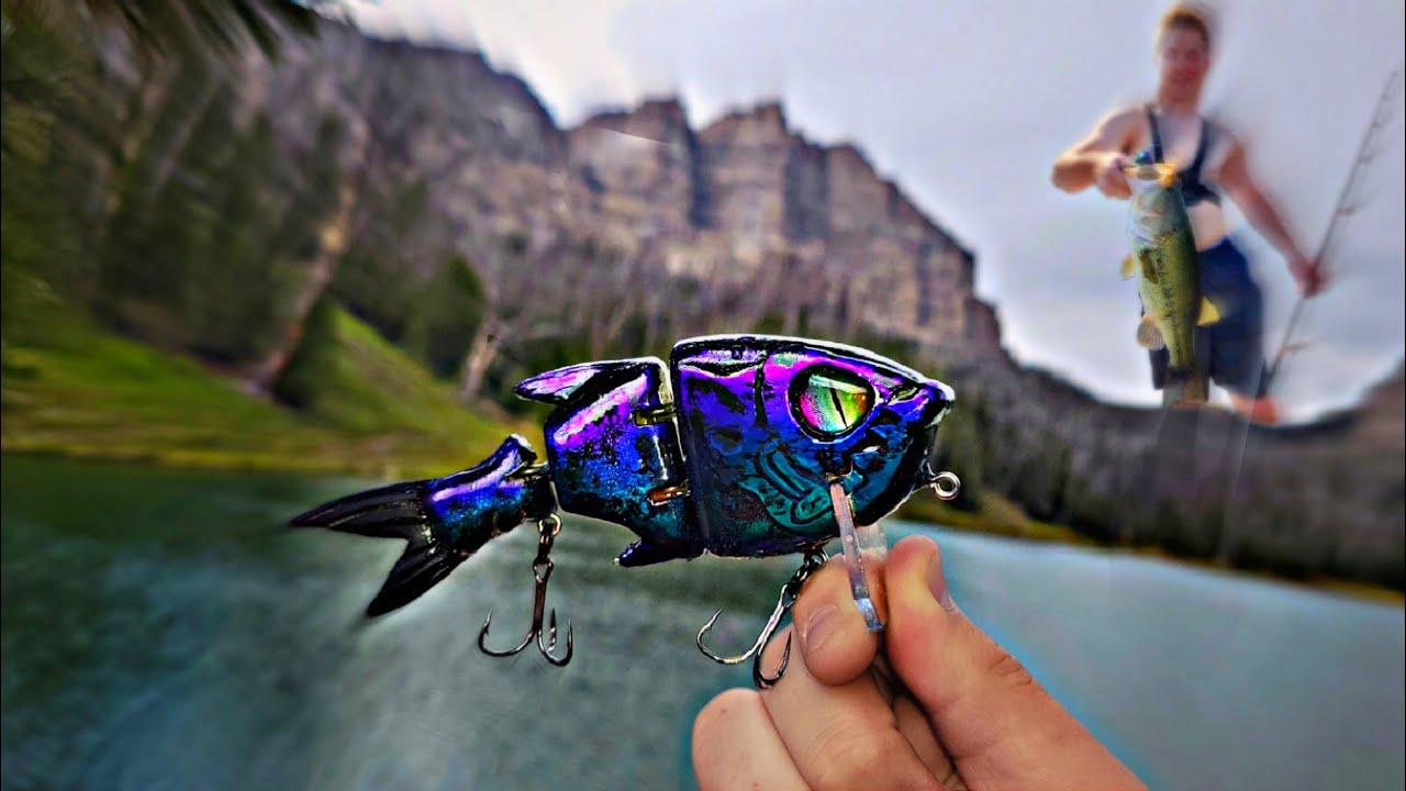 This Swimbait BROKE my PB!!