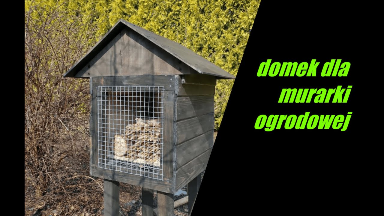 Murarka ogrodowa, budowa domku, montaż w ogrodzie. Wykonanie własnoręcznie domku dla murarki.