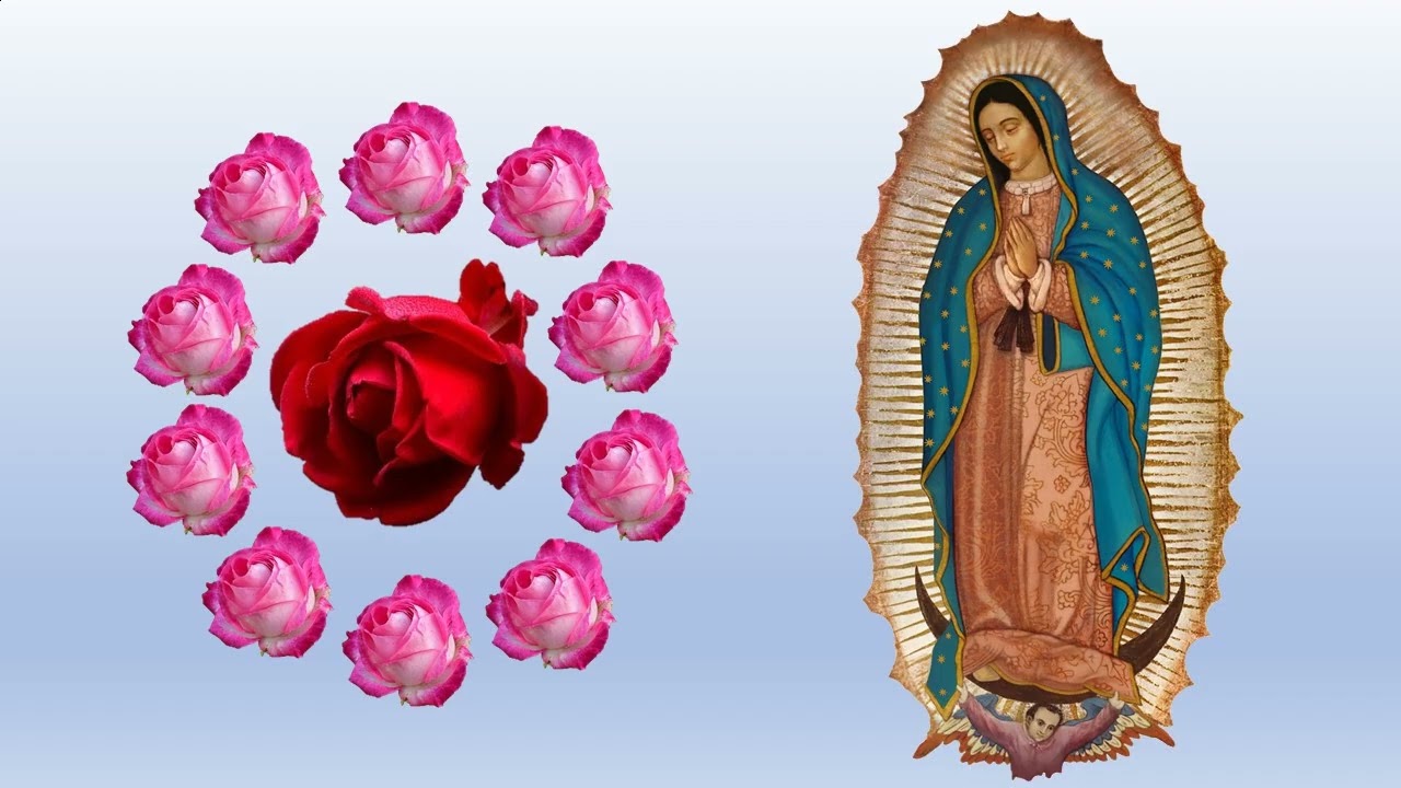 Santo Rosario Martes 10 de febrero 2026