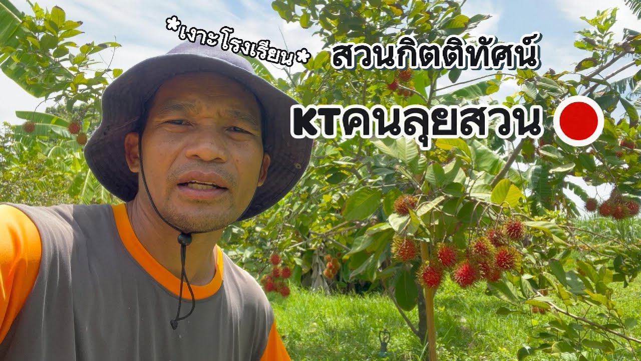 เงาะสวนกิตติทัศน์