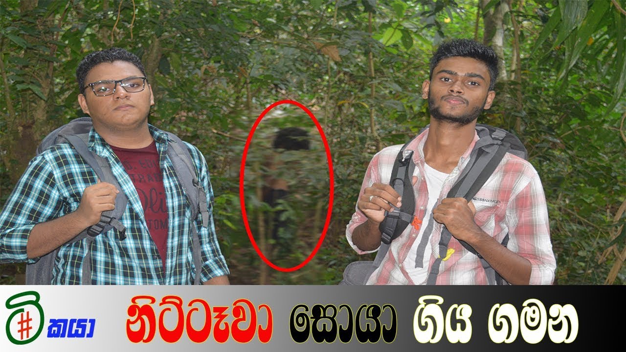 nittawa - නිට්ටෑවා සොයා ගිය ගමන - tikaya