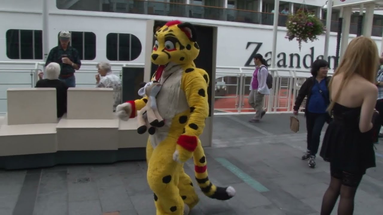 Kheetah runs past camera in a blur! - 43